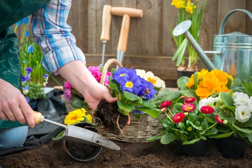 Charity partnership reusing timber and woodchip from tree work