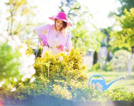 Local stump grinding service for gardens and commercial sites in Putney