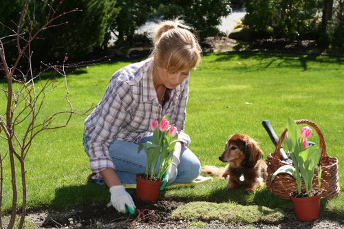 SSL encrypted payment process for Putney tree surgery services