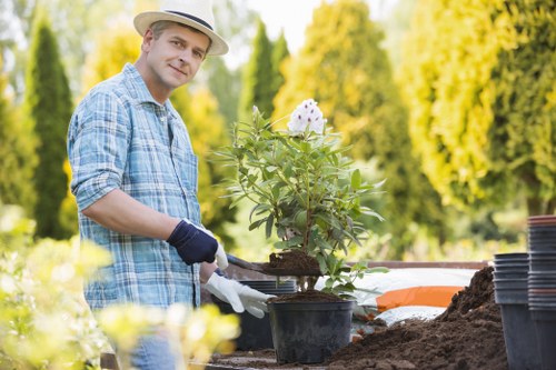 Safe and trusted payment methods for Tree Surgeons Putney services